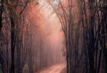 利物浦大將傷勢未解，歐洲聯賽困境