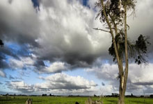 赛艇项目夺冠，中国选手一路领先！