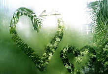 格拉纳达客场告捷，保级战局获得一线曙光