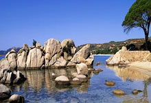 欧洲国家足球赛事激情迸发，劲旅齐聚一堂