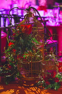 开云体育在线-中国体坛年度颁奖典礼群星闪耀,中国体坛风云人物典礼颁奖词 第2张